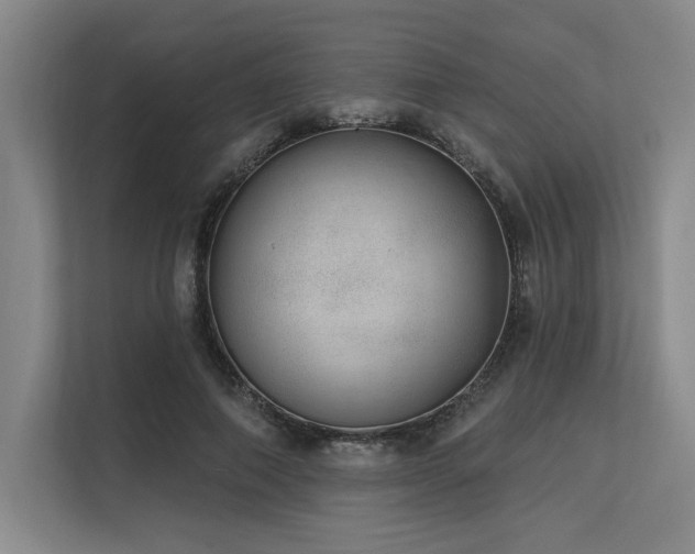 X0000113630690200909181517