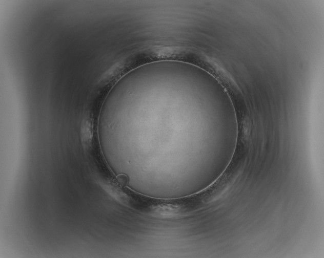 X0000113630691200909181517