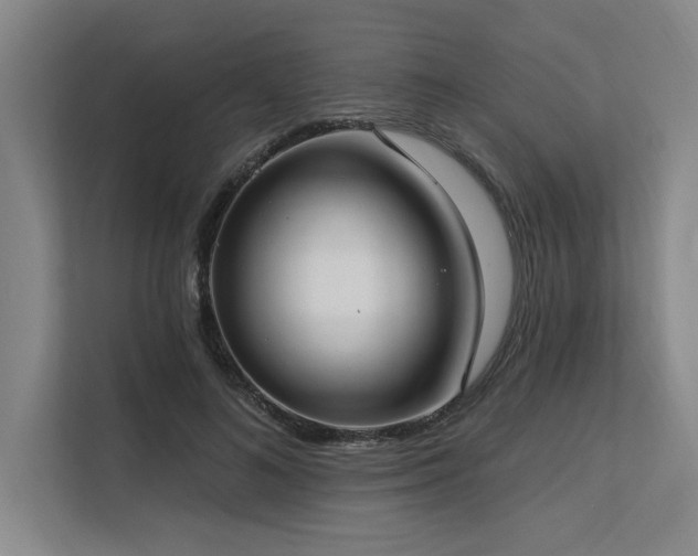X0000113630692200909181517