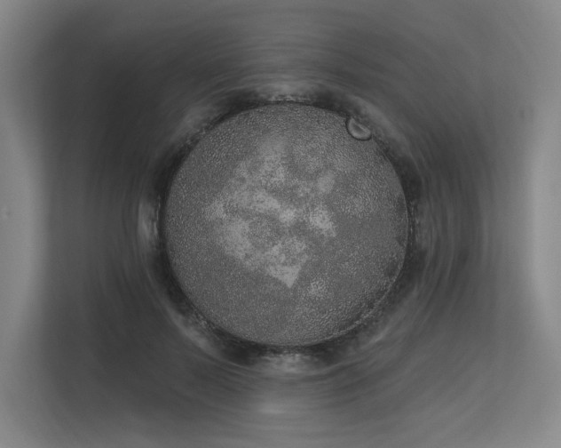 X0000113630695200909181517