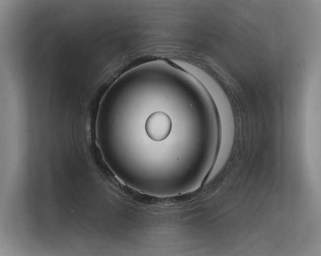 X0000113630696200909181517