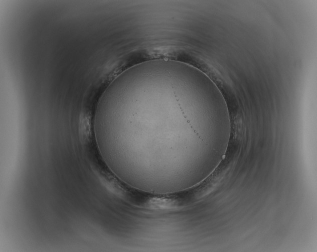 X0000113630699200909181517