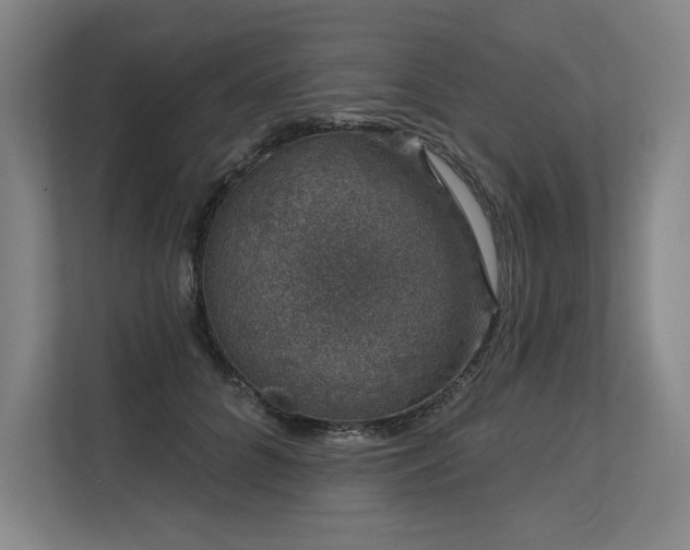 X0000113630704200909181517