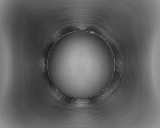 X0000113630707200909181517