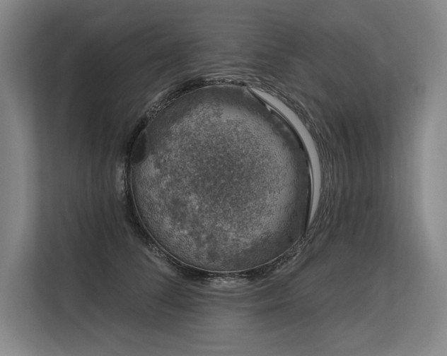X0000113630708200909181517