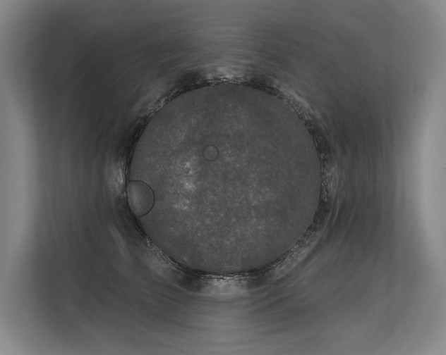 X0000113630709200909181517