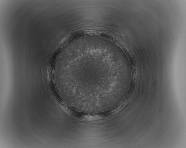 X0000113630712200909181517