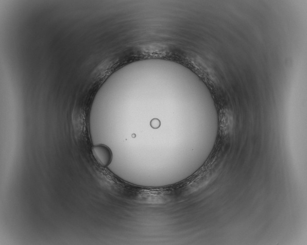 X0000113630713200909181516