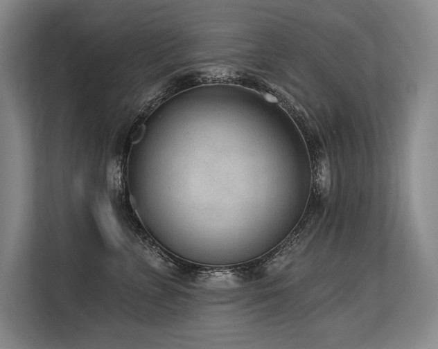 X0000113630715200909181516