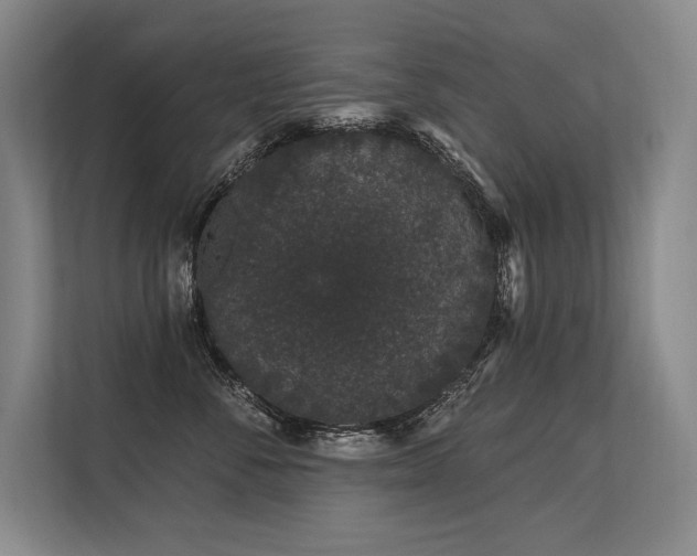 X0000113630716200909181516