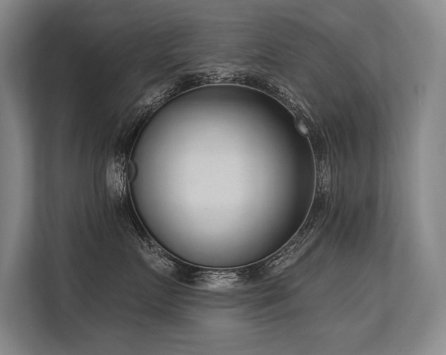 X0000113630719200909181516