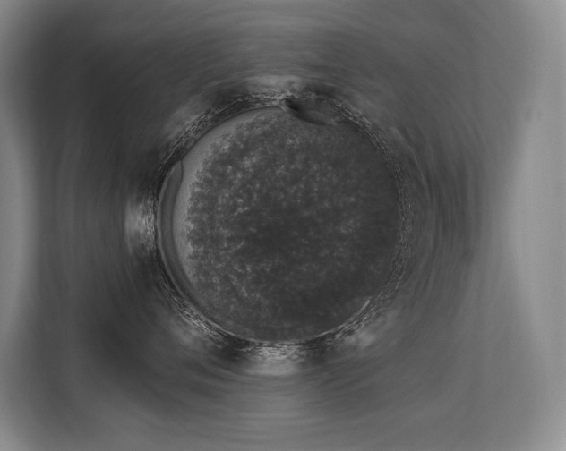 X0000113630720200909181516