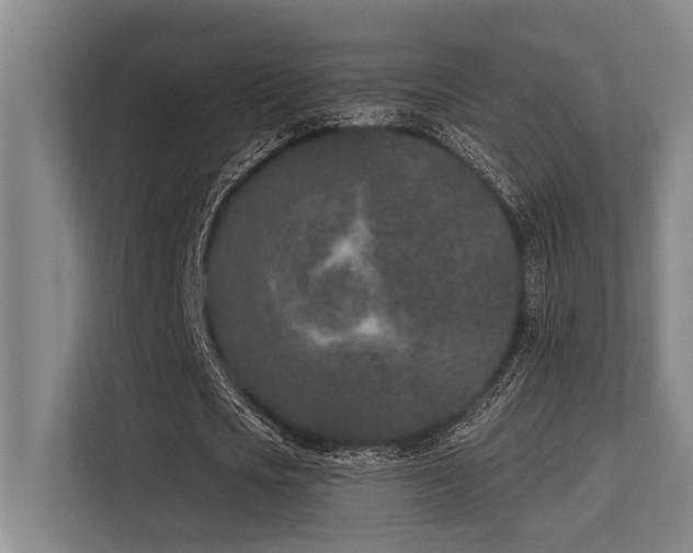 X0000113630721200909181516