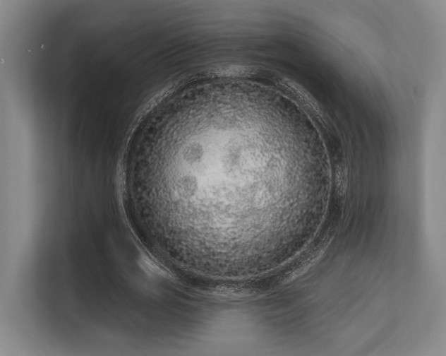 X0000113630725200909181516