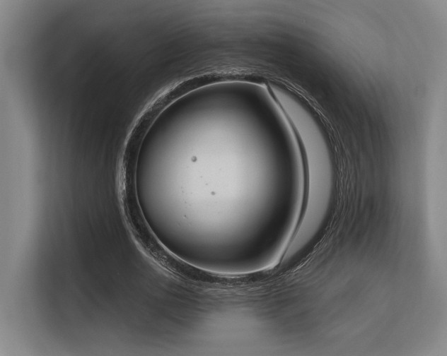 X0000113630726200909181516