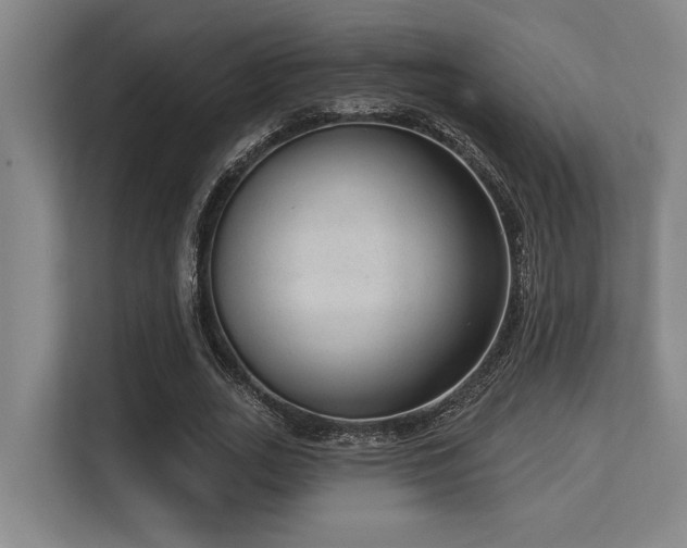 X0000113630727200909181516