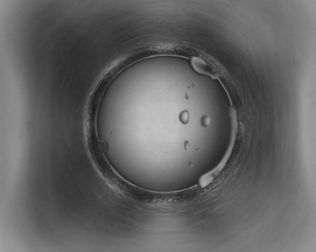 X0000113630728200909181516