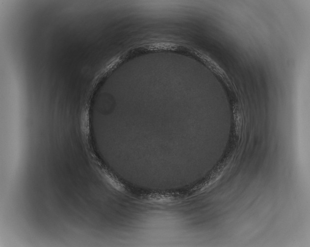 X0000113630729200909181516