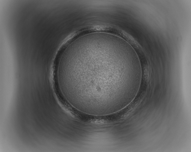 X0000113630730200909181516