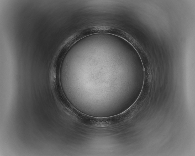 X0000113630731200909181516