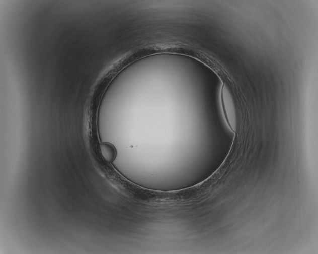 X0000113630732200909181516