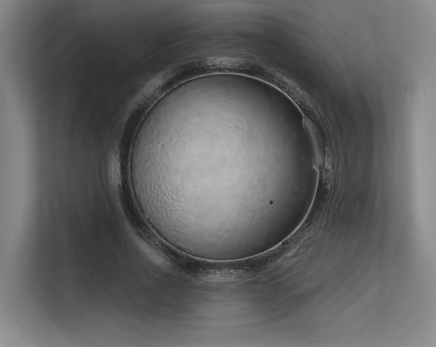 X0000113630734200909181516