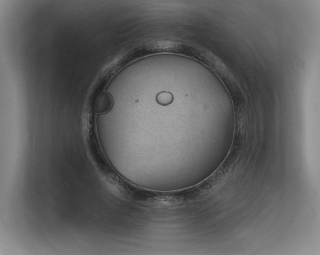 X0000113630736200909181516