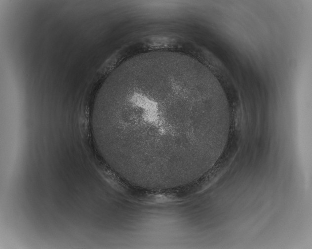 X0000113630737200909181516