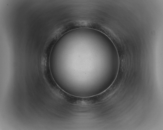 X0000113630739200909181516