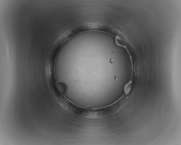X0000113630740200909181516