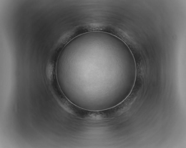 X0000113630742200909181516