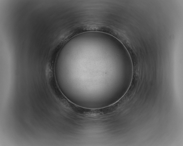X0000113630743200909181516