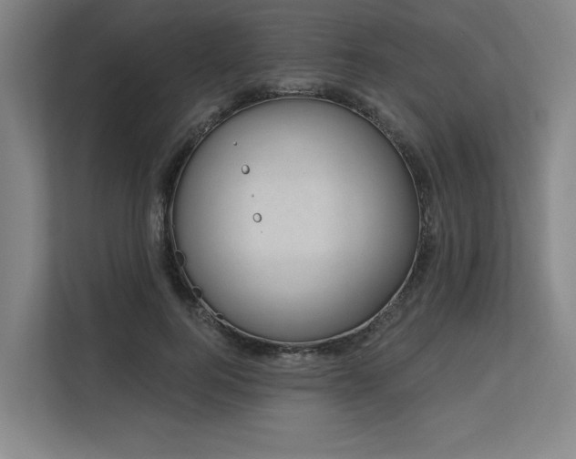 X0000113630744200909181516