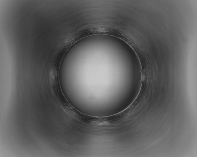 X0000113630747200909181516