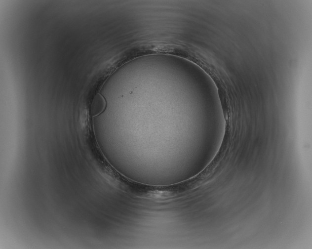X0000113630748200909181516