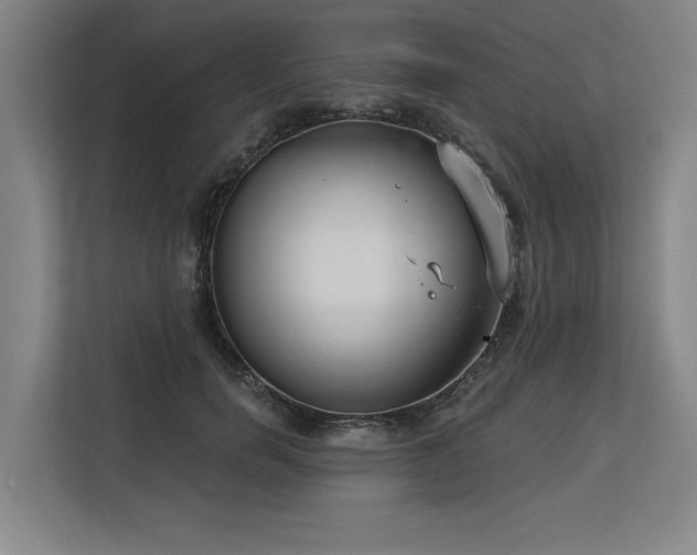 X0000113630750200909181516