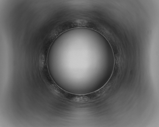 X0000113630752200909181516