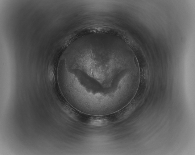 X0000113630754200909181516