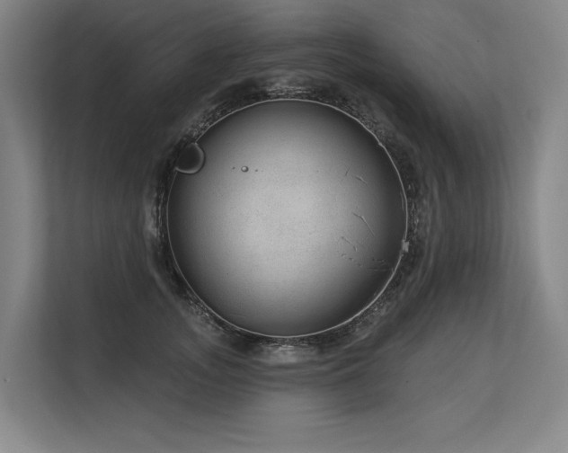 X0000113630755200909181516