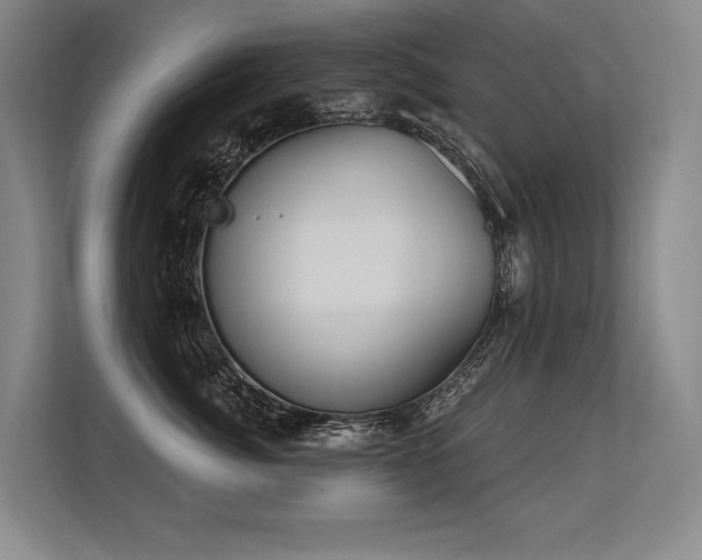 X0000113630764200909181516