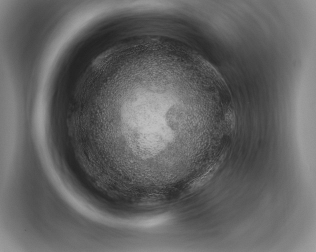 X0000113630765200909181516