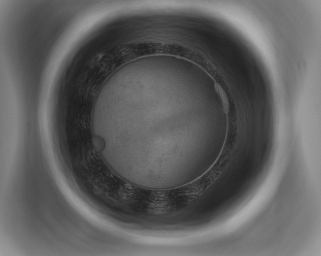 X0000113630766200909181516