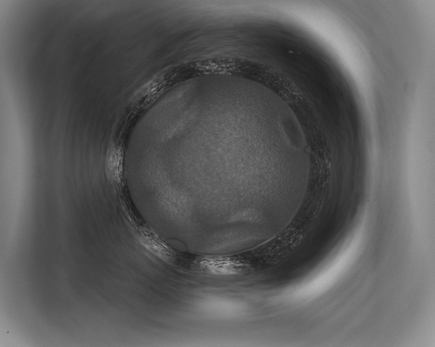 X0000113630767200909181516