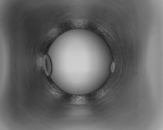 X0000113630768200909181516