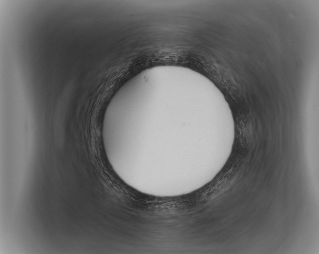 X0000113630769200909181516