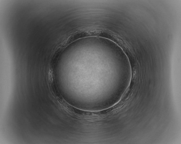 X0000113630772200909181516