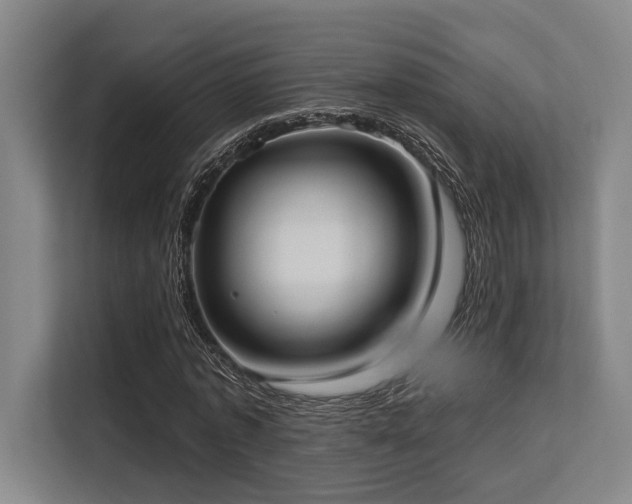 X0000113630773200909181516