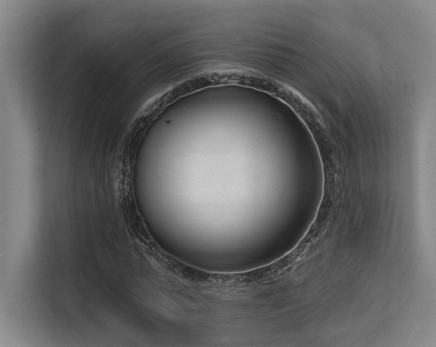 X0000113630775200909181516