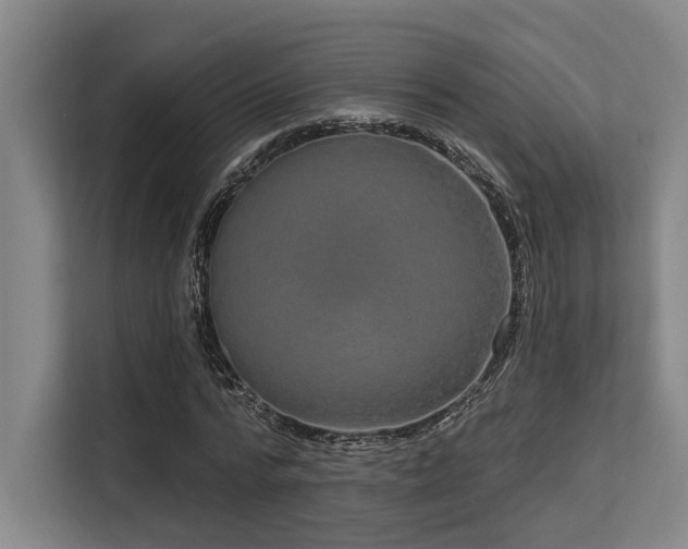 X0000113630776200909181516