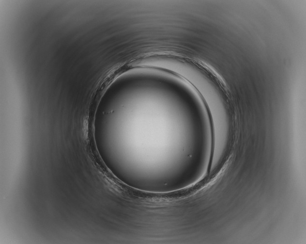 X0000113630777200909181516